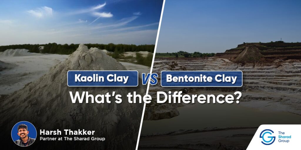 Kaolin Clay vs. Bentonite Clay: What’s the Difference?