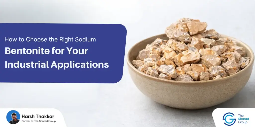 Sodium Bentonite industrial application guide - The Sharad Group.
